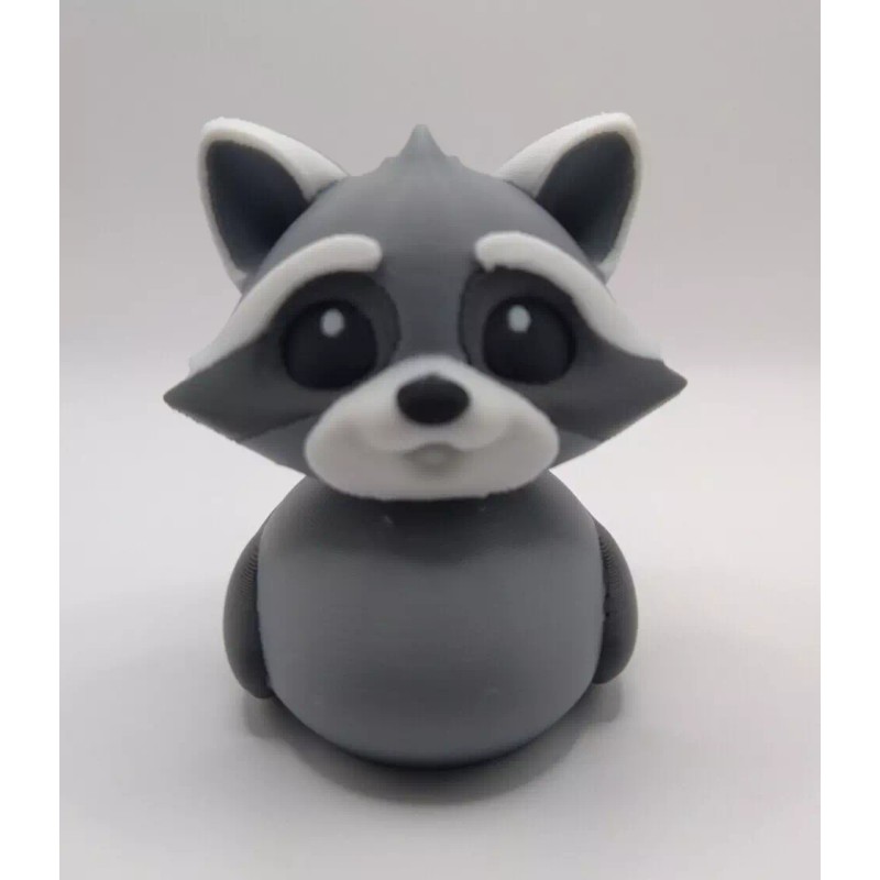 Raccoon Duck, Trash Panda Duck, Ducking, Get Ducked, Duck Duck