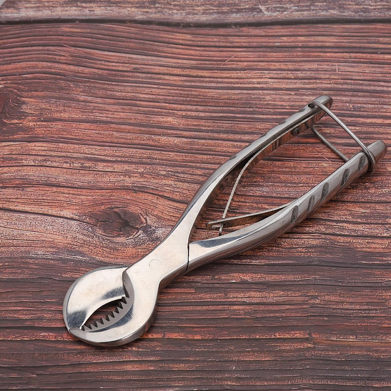 Dental Stainless Steel Cutting Pliers Laboratory Plaster Shears Scissor Surgical