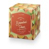 ILLUME Memory Lane Brandied Pear Boxed Glass Candle