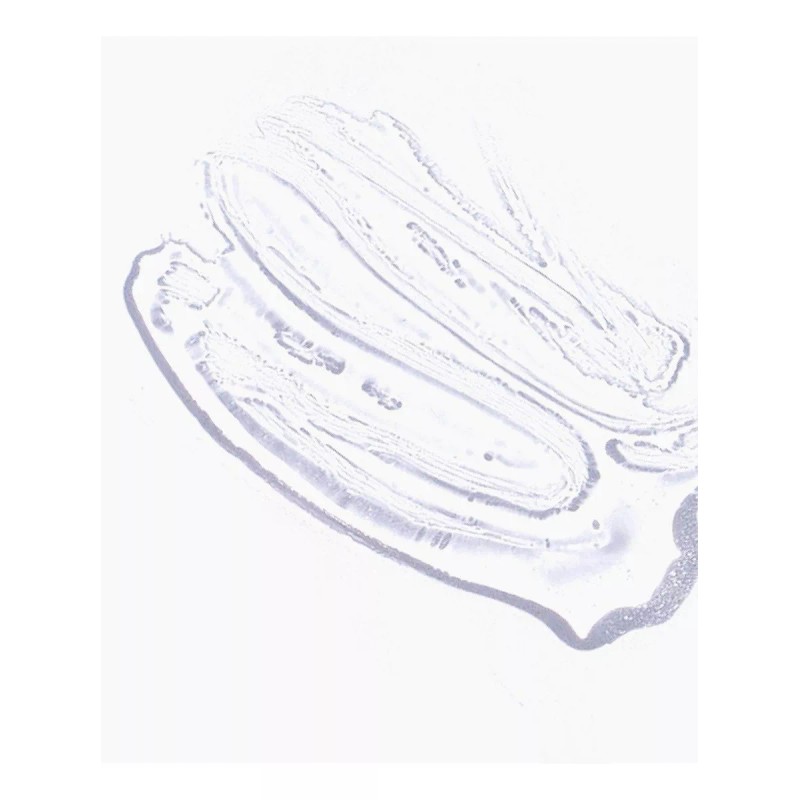 Ere Perez Lipgloss Con Mango Ere Perez Color Glaze -