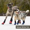 Muttluks, Muttluks Deluxe Waterproof Winter Dog Boots with Side Zipper