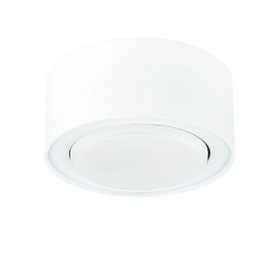 Licht-Erlebnisse Surface-Mounted Spotlight Metal White for Living Room Bedroom GX53 Max. 12 W Timeless Low Glare Small Ceiling Light Spot Hallway FLEA