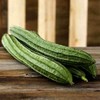 20 Luffa Sponge Gourd Non-GMO Heirloom Vegetable Seeds
