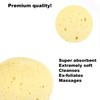 Extra Large Luxury Bath Sponge, Soft Shower Bathing Gentle Exfoliating