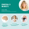 InnoNature Omega3 2:1 DHA/EPA | Natural from the Microalgae Schizochytrium