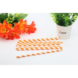 Orange Striped Drinking Paper Straws for Birthday Party Wedding Baby Shower Biodegradable Straw Box of 100