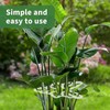 Monstera Grapple Clips | Turtle Shell Bamboo Plant Support Clamps
