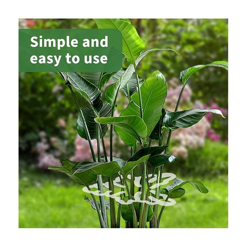 Monstera Grapple Clips | Turtle Shell Bamboo Plant Support Clamps