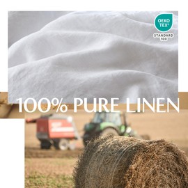 Simple&Opulence 100% Linen Duvet Cover Set, 3 Pieces Belgian Flax Breathable Bedding, 1 Comforter Cover+2 Pillowshams with Coconut Button Closure(Queen,White)