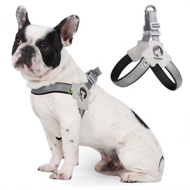 LAVAMOND Easy Walk Step in Dog Harness for Dogs with Trachea Issues, Soft Adjustable Puppy Harness No Pull Easy to Use, No Choke Pet Harness for Training Walking, Black, XL