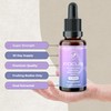 Cell Evolution Lions Mane Full Spectrum Liquid Mushroom Drops Supplement,