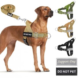 SlowTon No Pull Dog Harness - Heavy Duty Dog Harness and Leash Set for Medium Large Dogs, Reflective Tactical Harness with Soft Padded and Front Clip for Easy Walk and Training (Tan L)