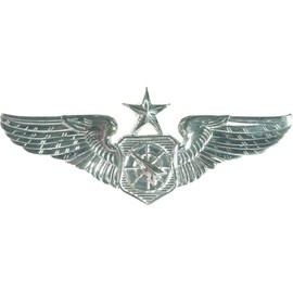 Air Force Air Battle Manager No Shine Full Size Badge (Senior)