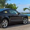 Julight Antena Ford Mustang de 8 Pulgadas