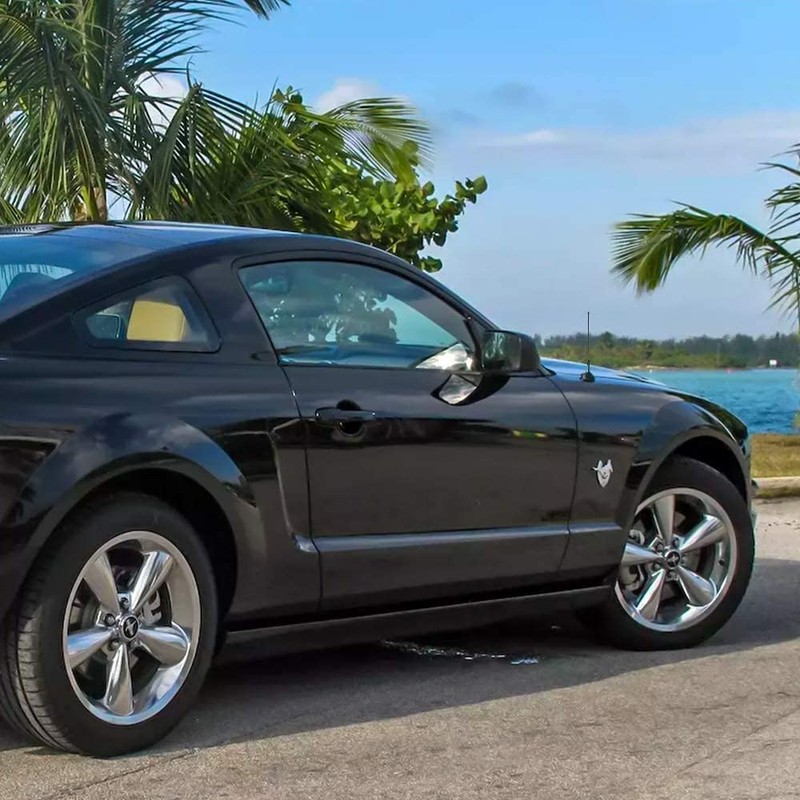 Julight Antena Ford Mustang de 8 Pulgadas