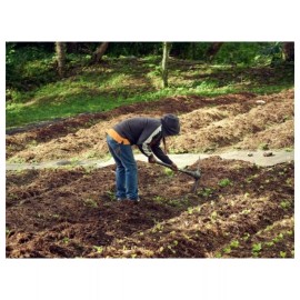 NIKATTO Pick Mattock 4.5 and 5 lbs, Wodeen Handle, Forged Carbon Steel. USA STOCK - 4.5LBS