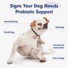 PetLab Co. Immune Probiotic + for Dogs, Supports Gut &