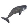 Realistic Sperm Whale Replica Simulated Marine Animal Model Educational Collector