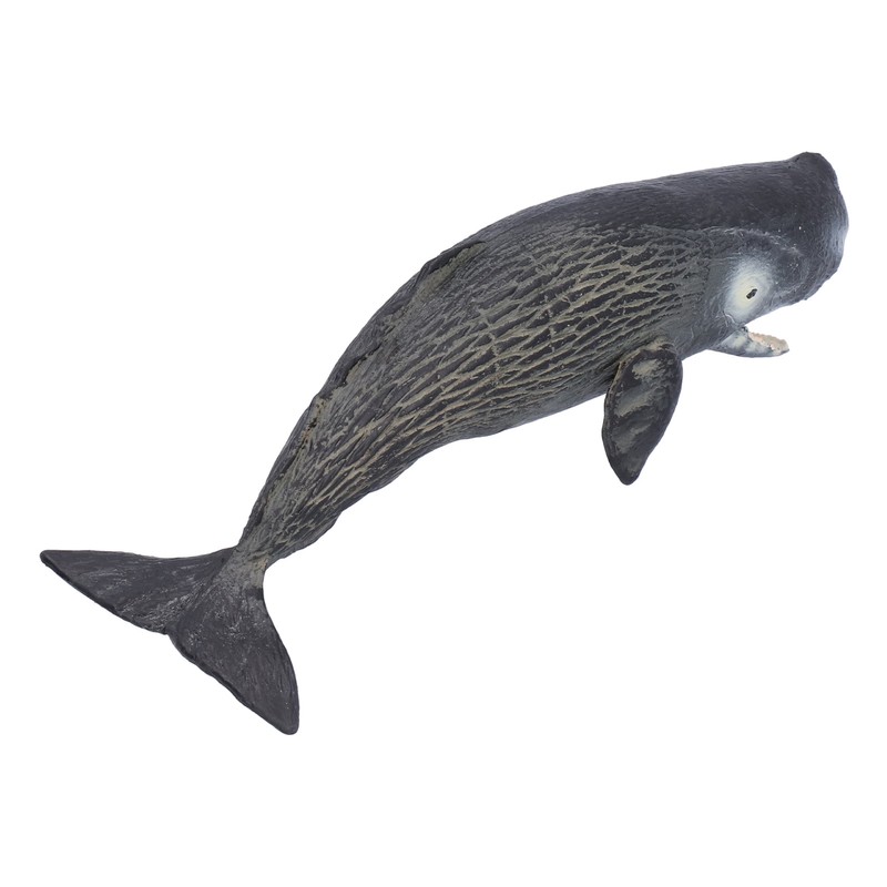 Realistic Sperm Whale Replica Simulated Marine Animal Model Educational Collector