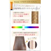 biseno 白髪ケア しっかり染めて きれい続く 3点セット アッシュブラウン ヘアカラートリートメント アルミヘアキャップ ヘアミルク ジアミンフリー