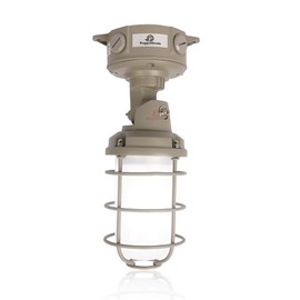 RuggedGrade 30W - Kenaro Series - Jelly Jar Vapor Proof LED Light - Color Selectable 3000K/4000K/5000K - Hanging Design - DLC 5.1 Premium