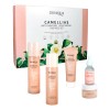 Set De Cuidado Facial Bioaqua Con Extracto De Camellias Kit