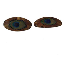 Pair of Hair Clips Made of Peacock Feathers