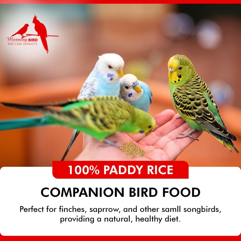 Morning Bird Paddy Rice Bird Seed for Optimal Health &