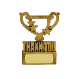 Thank You Gold Mini Cup Star Award - Gift for loved ones, Support, Achievement, You're a Star, Keepsake, Appreciation, Motivation, Friend, Mentor, Teacher Success Affordable Sentimental Gift