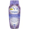 Vagisil Scentsitive Scents Plus Daily Intimate Vaginal Wash for Feminine