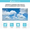Fluorescent Light Cover for Classroom Ceiling Lights Clouds - Premium