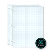 iScholar Quad Filler Paper, 4 Squares per Inch, 10.5 x