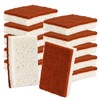 Natural Plant Based Scrub Sponge 12 Pack, Palm Fiber Scrubbing