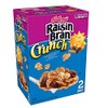 Kellogg's Raisin Bran Crunch - 42 oz.