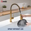 GIMILI Brushed Gold Kitchen Faucet with Pull Down Sprayer Single