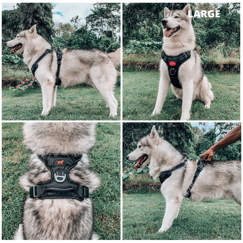 Tuff Pupper No Pull Easy Walk Dog Harness | Heavy