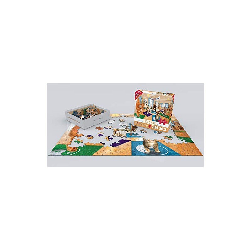 EuroGraphics Yoga Studio 300-Piece Puzzle