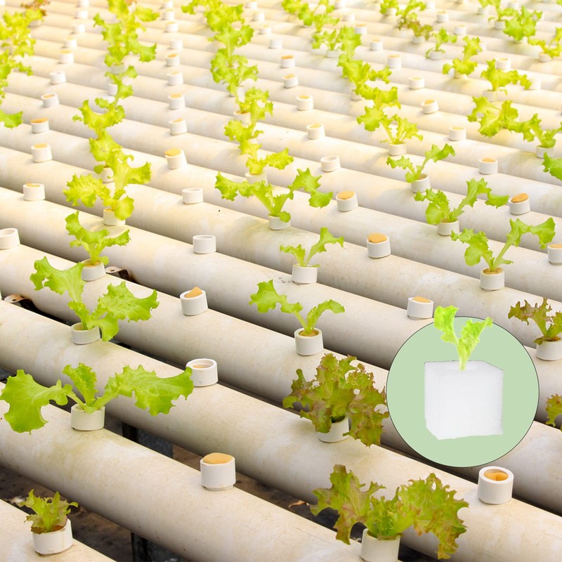 Tongnian 600 Pcs Hydroponic Sponges, Soil-Less Cultivation Planting Gardening Tool,