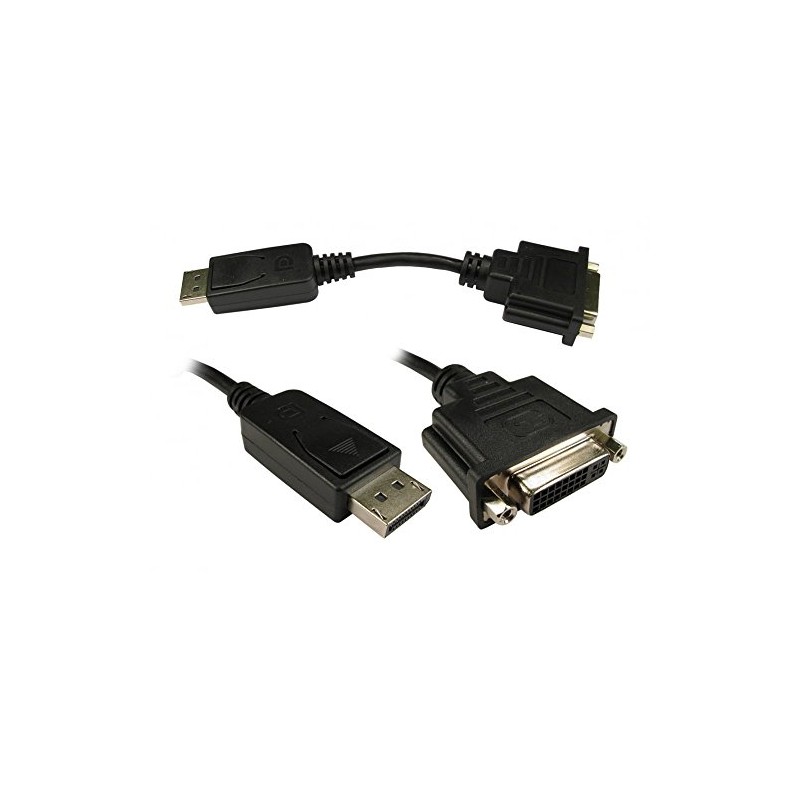 Your It Displayport To Dvi Adapter
