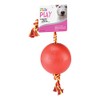 Fancy Pets FL9301 Juguete Bola Flotante