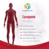 LongLifeNutri Lycopene 50 mg - 180 Vegetarian Capsules