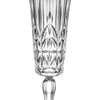 Lakeland Crystal-Look Acrylic Champagne Prosecco Flute