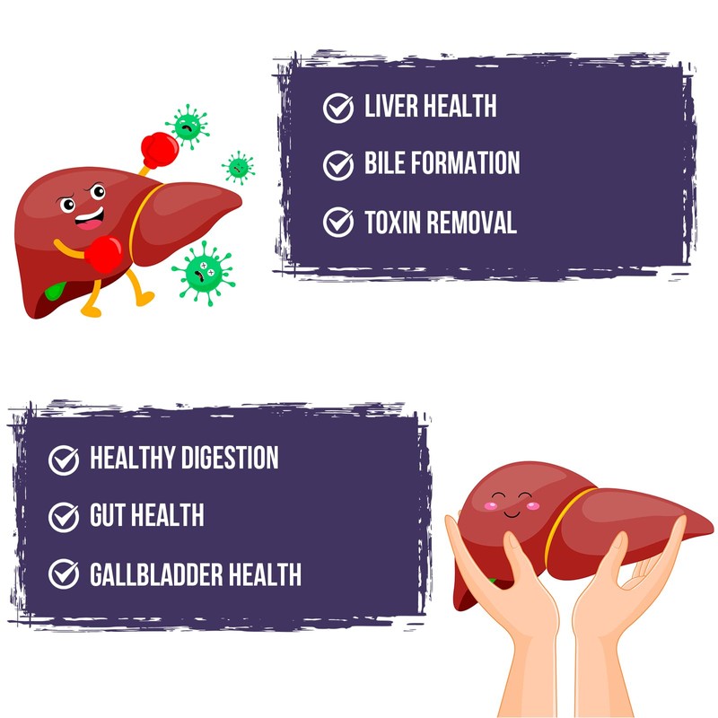TUDCA 500 mg, Tauroursodeoxycholic Acid with Humic and Fulvic Acids,