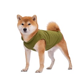 BT Bear Dog Jumper, Dog Sweatshirt, Soft Fleece Vest, Cold Weather Jacket with Leash Ring for Small and Medium Dogs, Medium, Olive Green