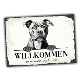 siviwonder Dog Sign Welcome Home Staffordshire Bull Terrier No. 2 Dog Sign Saying Door Sign Warning Sign Gift Idea Beautiful Saying Dog Motif Aluminium Weatherproof Dog Sign