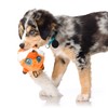 Hartz Squeakerz Stuffing-Free Plush Woodland Animal Dog Toy