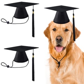 2 Pack Pet Graduation Caps Large Dog Graduation Hats with Black Tassels for Graduation Season Puppy Cats Outfits Holiday Grad Costume Accessories Party Photo Props (Black, Large)