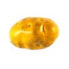 Vasefill Artificial Potato Pack of 6 Vegetable Fruit Fake Patata