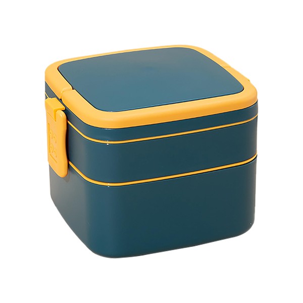 GMYIAK Lunch Box with 2 Compartments and Carry Handle, Salad