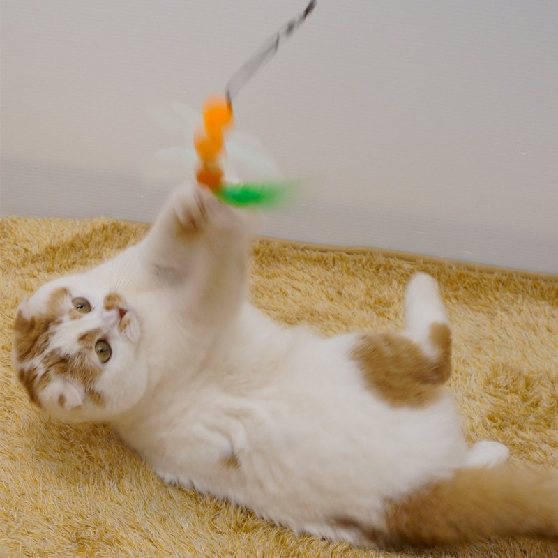 CattyMan Gleaming Cats Replacement for Your Favorite Cat